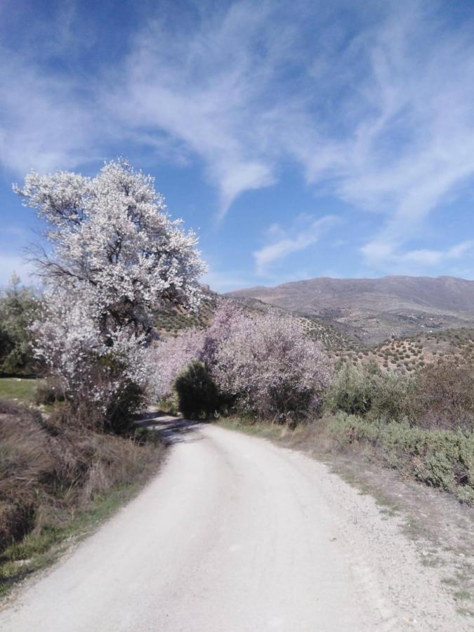 El Convento Vivienda Rural Jaen Andalucia Espana Carchelejo Εξωτερικό φωτογραφία